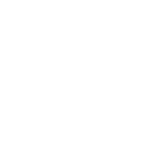 Servicios de Mesa y Entretenimiento